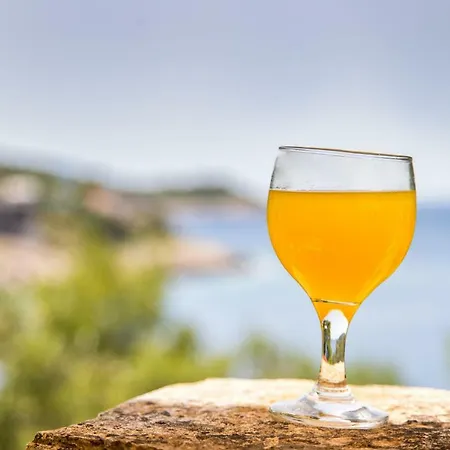 Dijana 普利格拉迪卡